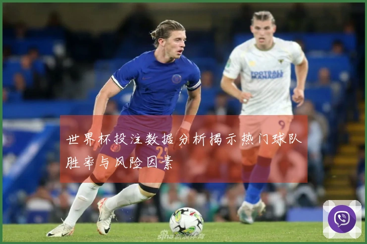 世界杯投注数据分析揭示热门球队胜率与风险因素