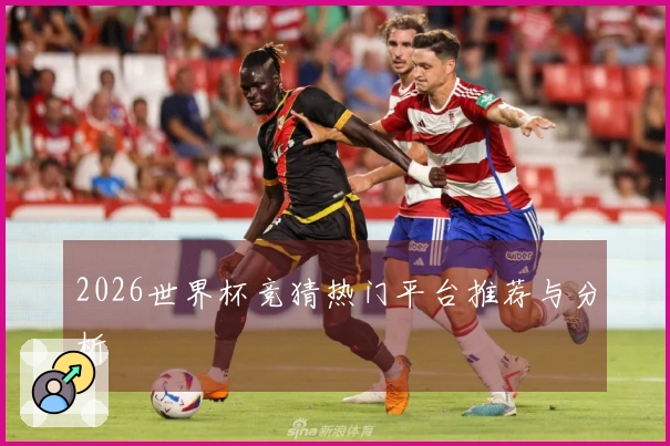2026世界杯竞猜热门平台推荐与分析