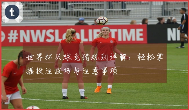 世界杯买球竞猜规则详解，轻松掌握投注技巧与注意事项